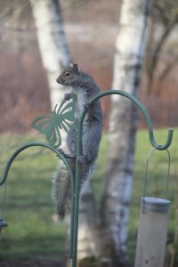 Imported Photos 01534