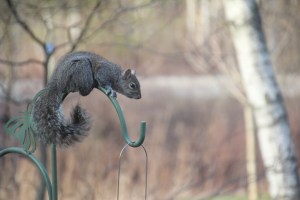 Imported Photos 01540