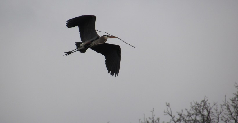 Just a few more of these sticks and the place will be perfect!