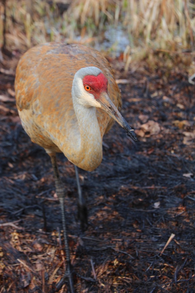 You have anything good to eat lady?