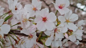 Close up and personal.