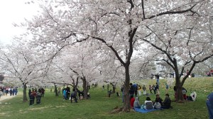 My favorite image from Easter afternoon.