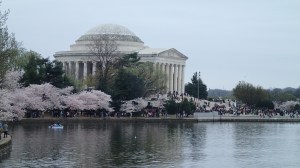 Jefferson Monument surrounded by beauty.