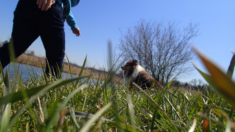 Mama doesn't move fast enough.