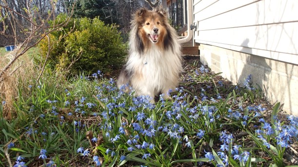 I look good in blue, don't you think?