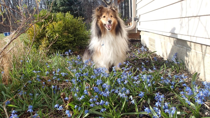 I look good in blue, don't you think?