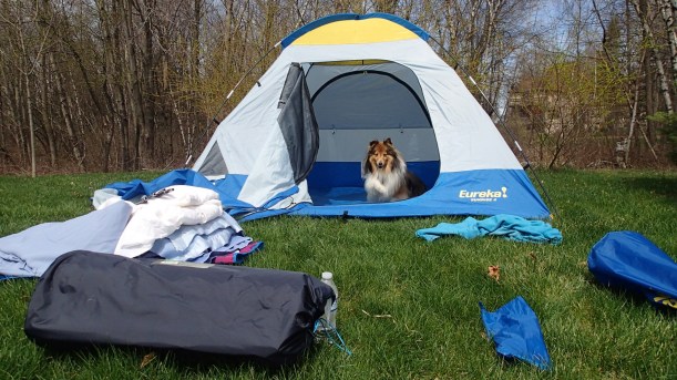 This is MY tent and MY stuff.  Mama takes care of it for me.