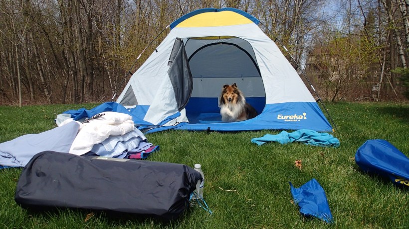 This is MY tent and MY stuff.  Mama takes care of it for me.