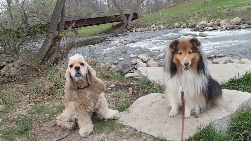 Deuce and me at his park!