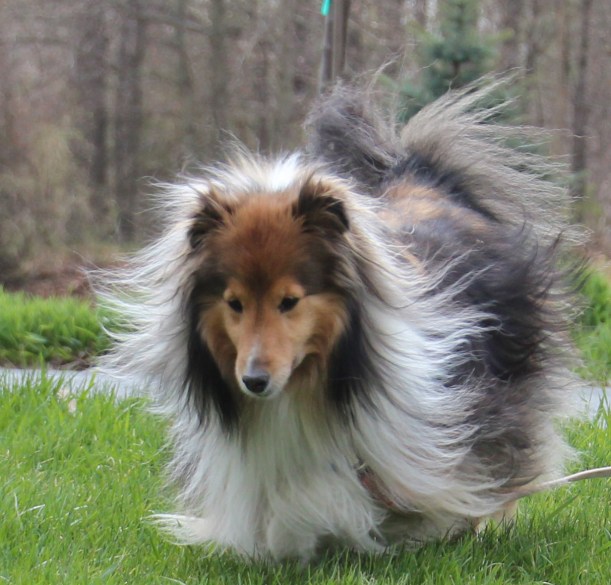 Imported Photos 01211 cropped