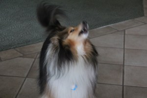 Imported Photos 01230