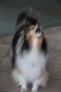 Imported Photos 01240