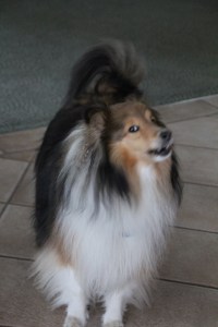 Imported Photos 01241