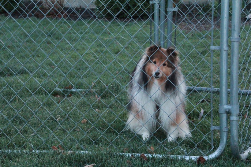 Imported Photos 01242