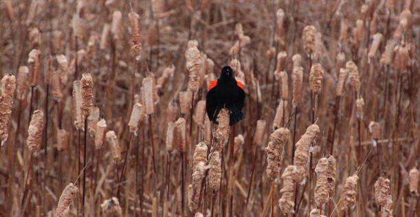 No crossing into MY territory!