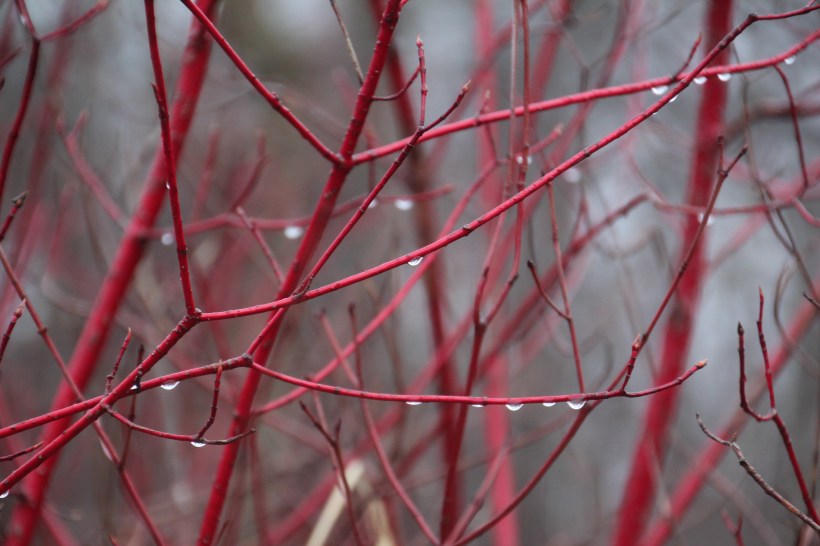 Color bursting out all over