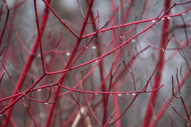 Color bursting out all over