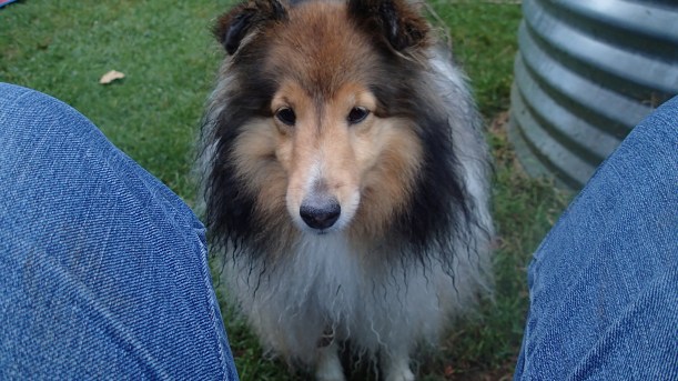 What's going on mama?  (This is from last year because I haven't taken the camera to camp yet this trip!)