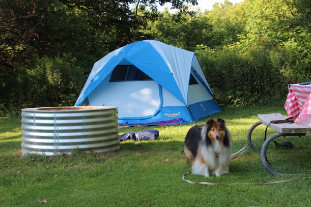 Last year we camped a lot!