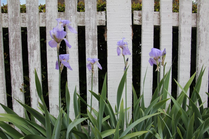 Simple and beautiful.