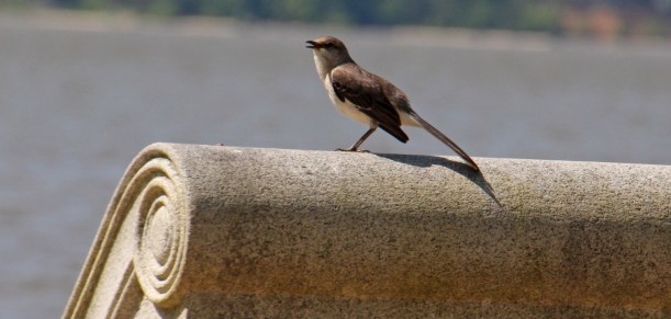 Hey mom!  We had such a pretty day today!  