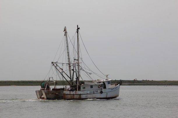 Heading out to catch some fish.