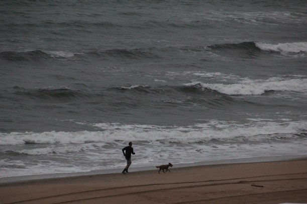 A cold, rainy run.  But the dog doesn't mind.