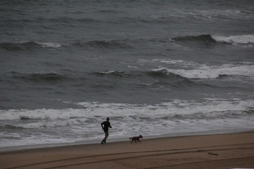 A cold, rainy run.  But the dog doesn't mind.
