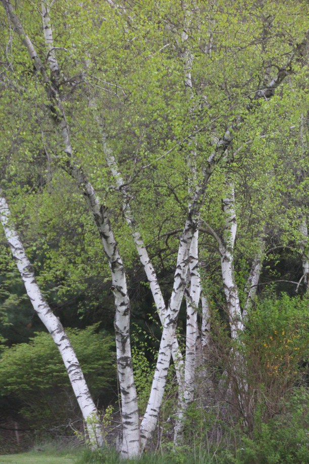 Imported Photos 02340 edited