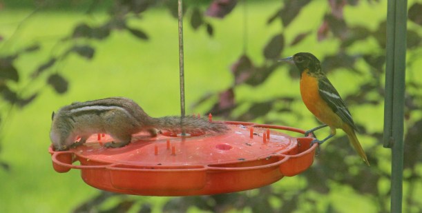 Imported Photos 02448 cropped