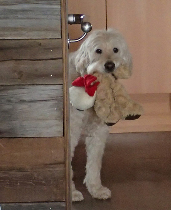 I'm not sure about you yet lady!