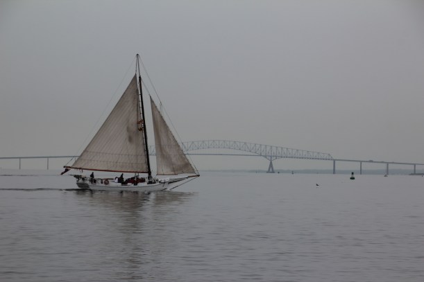 Tourists sailing on the river.