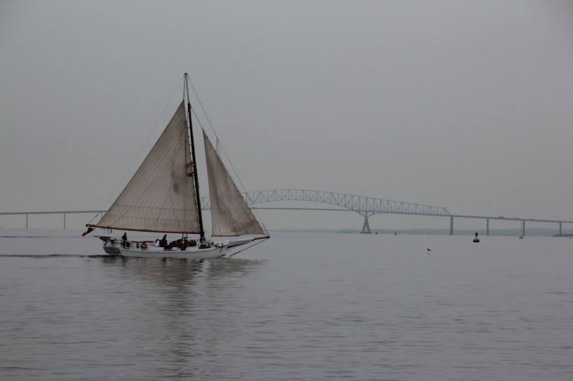Tourists sailing on the river.