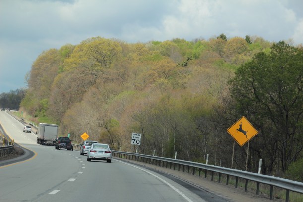 Regressing into spring.