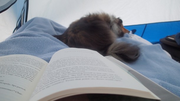 Reading is boring mama!