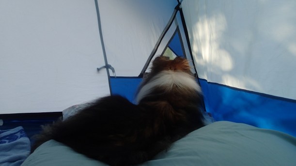 What's going on out there?