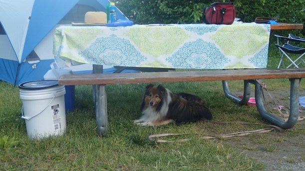 My secret hiding place!