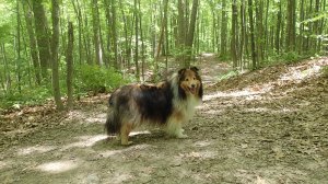 Come ON!  Let's go this way!