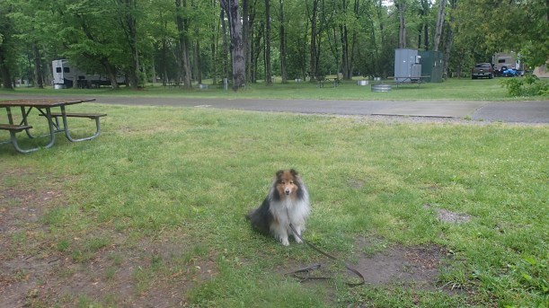 Not too many people around to admire me!