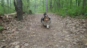 It's a little warm to be running mama!