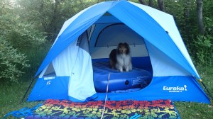 What are you DOING mama?