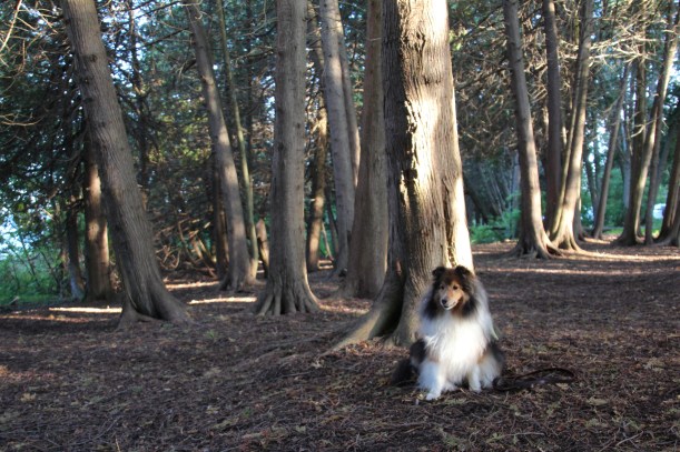 Isn't the light cool in here?