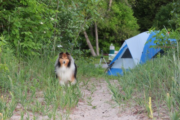 Hey mama! Whatcha doing out there?