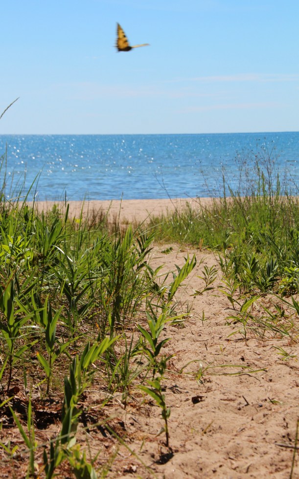 Our first day was beautiful.