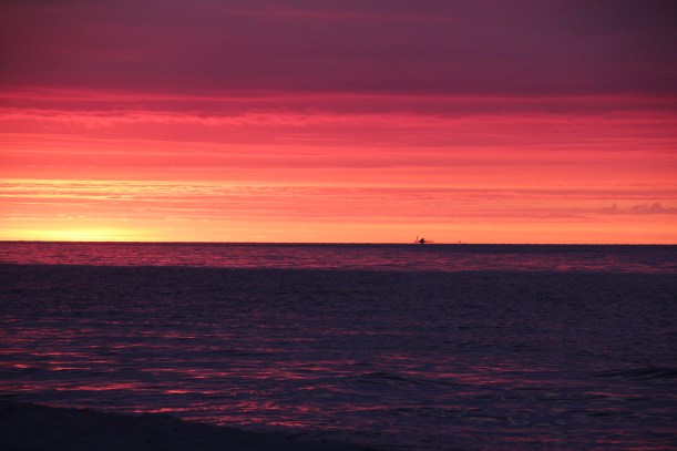 Colors beyond description!