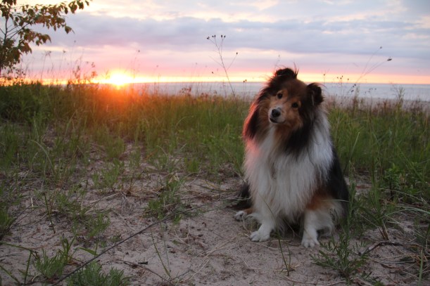 The sun's got nothing on me!