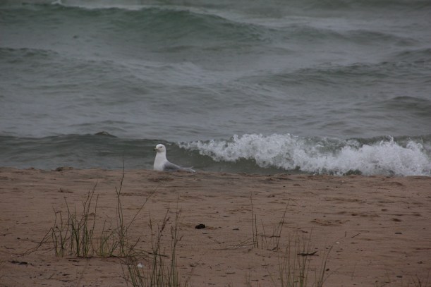 Getting noisier out here!