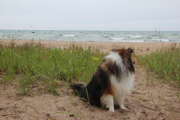 Goodbye lake!  We'll be back!