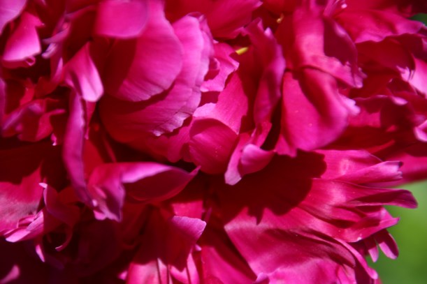 Imported Photos 00815