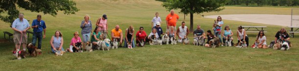 See me?  I'm about 4 dogs in from the left.